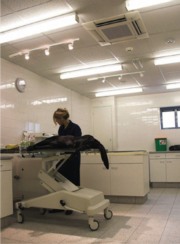 vet