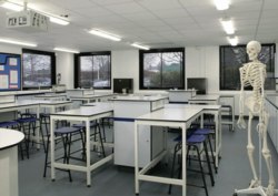 lab