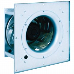 fan