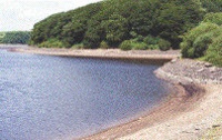 Water efficiency